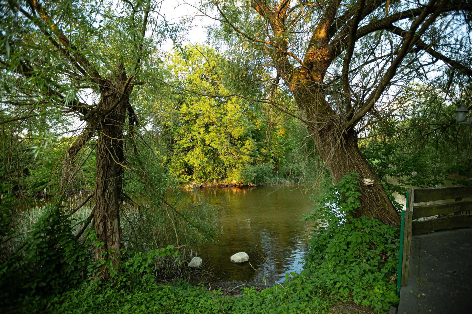 Zakatek River Rajgród Dış mekan fotoğraf